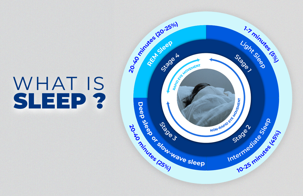 what-is-sleep-cycle what-is-sleep-cycle